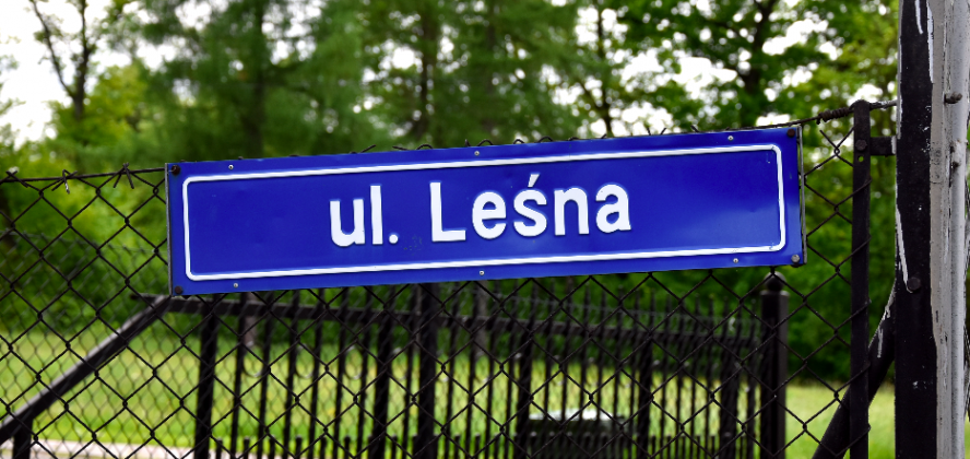 ul. Leśna w Puńcowie